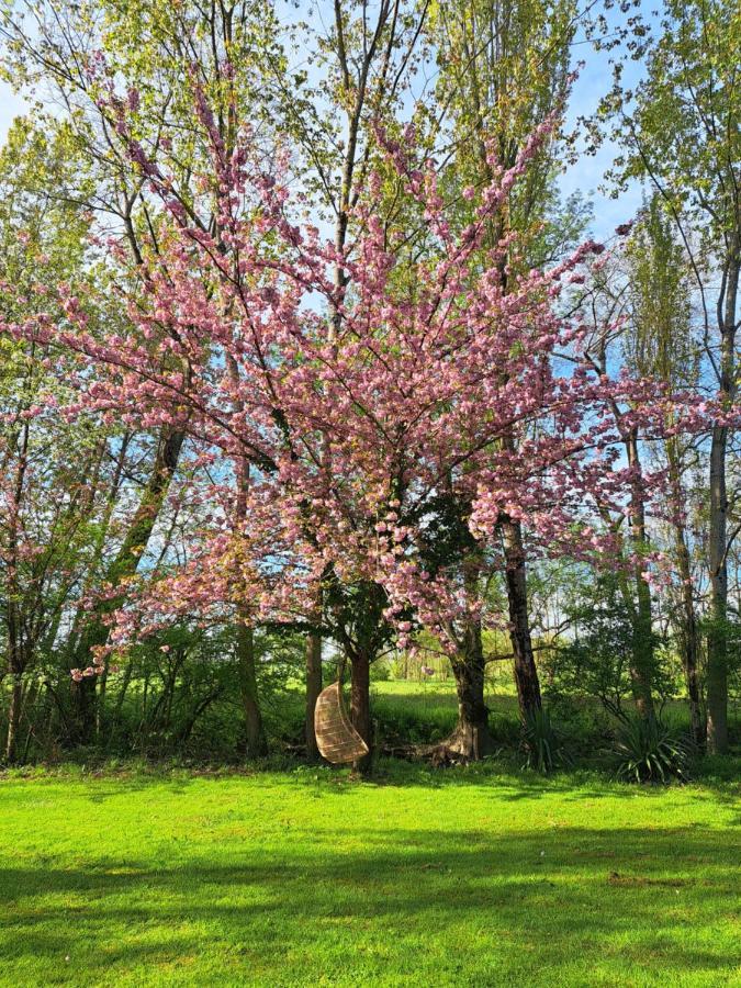 Le Moulin Etourneau - 3 Gites Avec 2 Piscines Champagnac  Eksteriør bilde