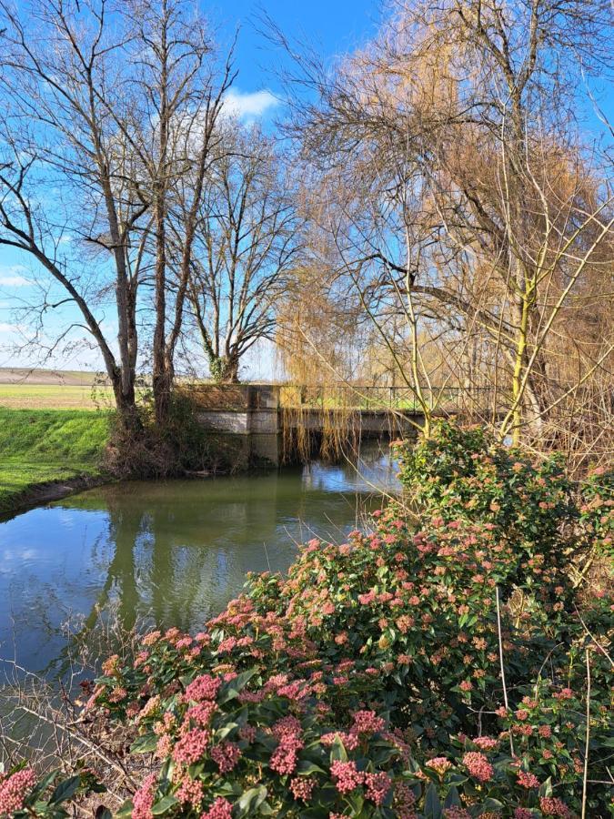 Le Moulin Etourneau - 3 Gites Avec 2 Piscines Champagnac  Eksteriør bilde